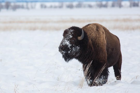 Tour image 6