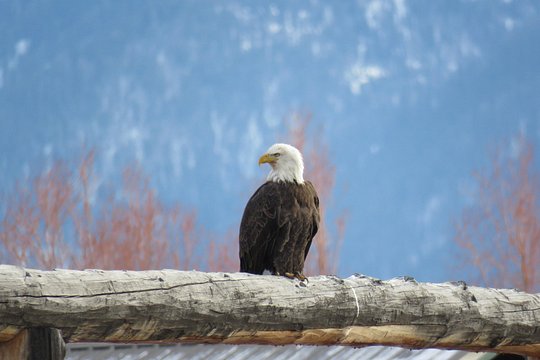Tour image 4