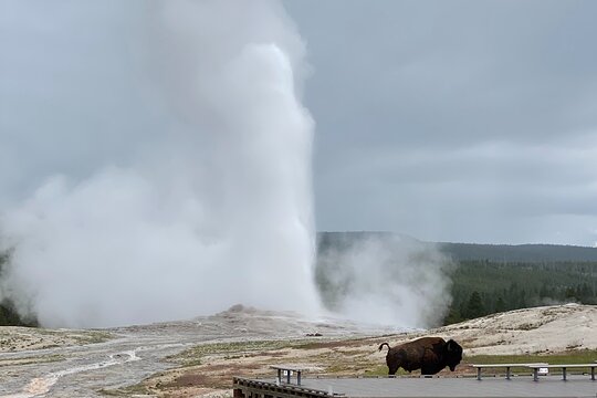Tour image 9