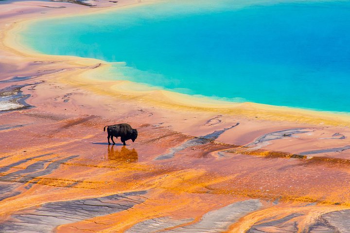 Private 2-Day Yellowstone Tour - Upper and Lower Loop